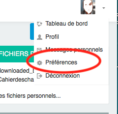 Fichier:Préférences Profil.png