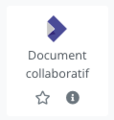 Document collaboratif.png