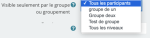 Visible groupe.png